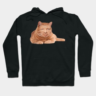 Eckcat Tolle Zen Master Cat Eckhart Tolle Hoodie